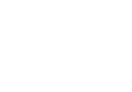 Salesforce Logo White