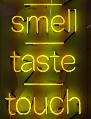 Sensory UX in the digital era: Smile, taste, touch