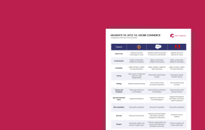 Magento Vs Sfcc 2024 Feature